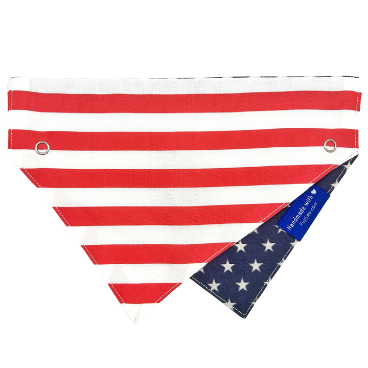 Reverse side of bandana