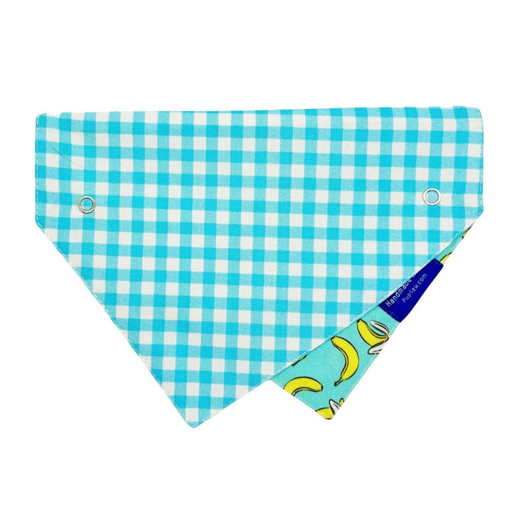 Reverse side of bandana