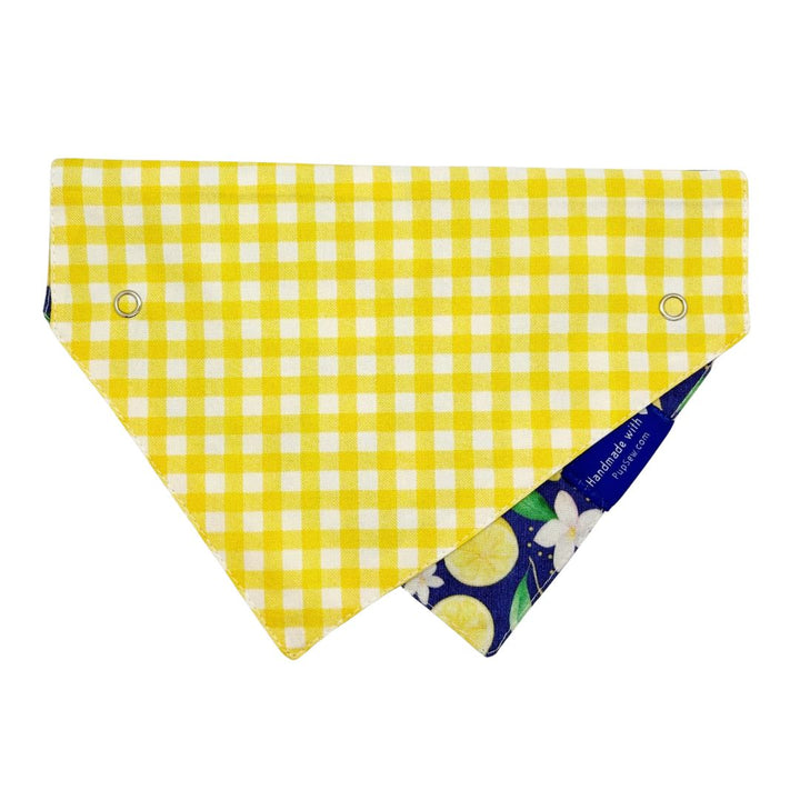 Reverse side of bandana