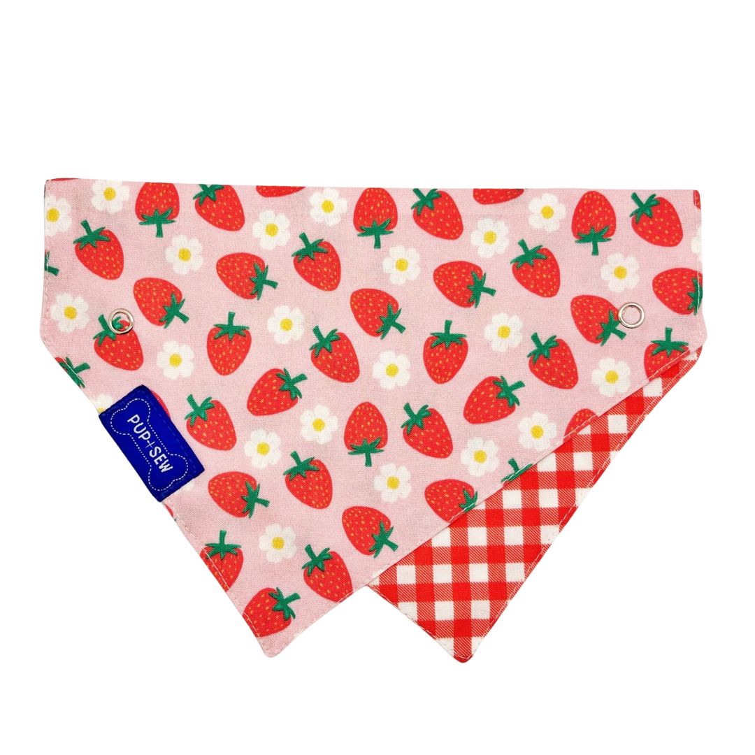 Strawberry Dog Collar Bandana, Reversible and Two-Tone