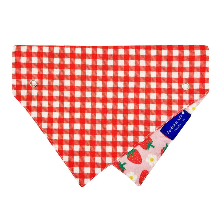 Reverse side of bandana