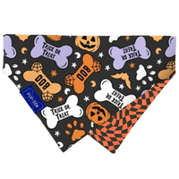 Groovy Bones Dog Collar Bandana, Reversible and Two-Tone