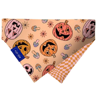 Groovy Pumpkin Dog Collar Bandana, Reversible and Two-Tone