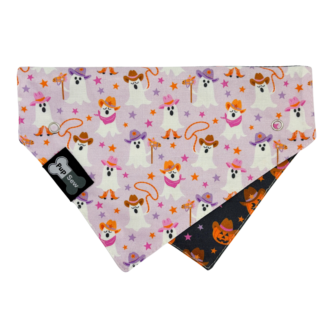 Haunted Hoedown Dog Collar Bandana, Reversible and Two-Tone