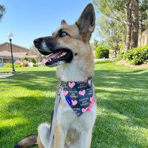 "Adopt" Red Checkered Dog Collar Bandana, Reversible and Two-Tone