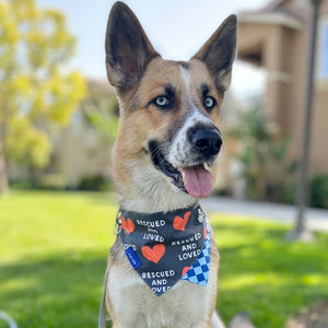 "Rescued" Red Checkered Dog Collar Bandana, Reversible and Two-Tone