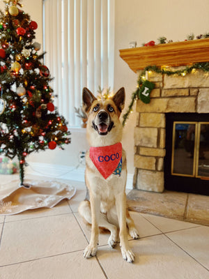 "Gingerbread" Dog Collar Bandana, Reversible and Two-Tone