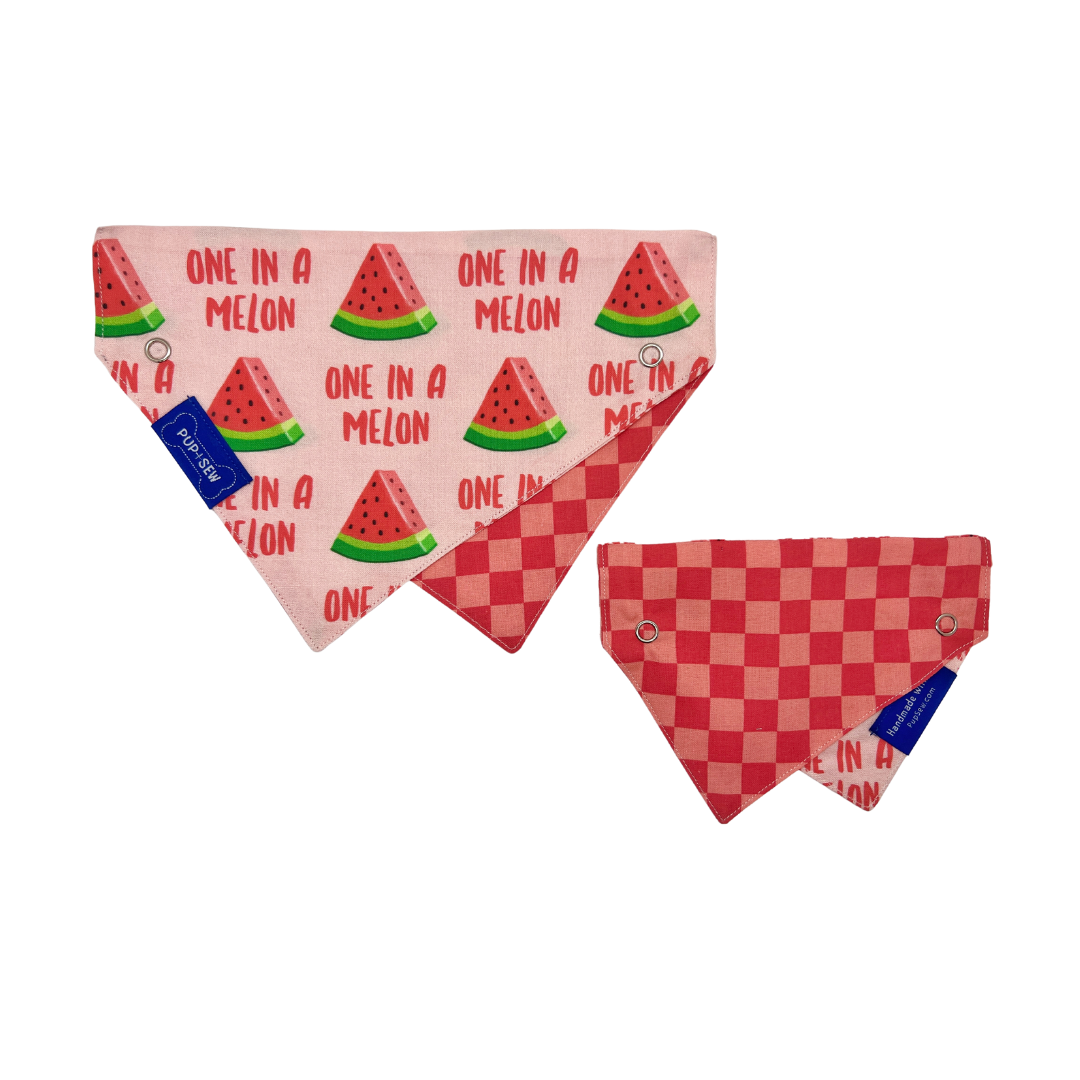 "One in a Melon" Dog Collar Bandana, Reversible and Two-Tone