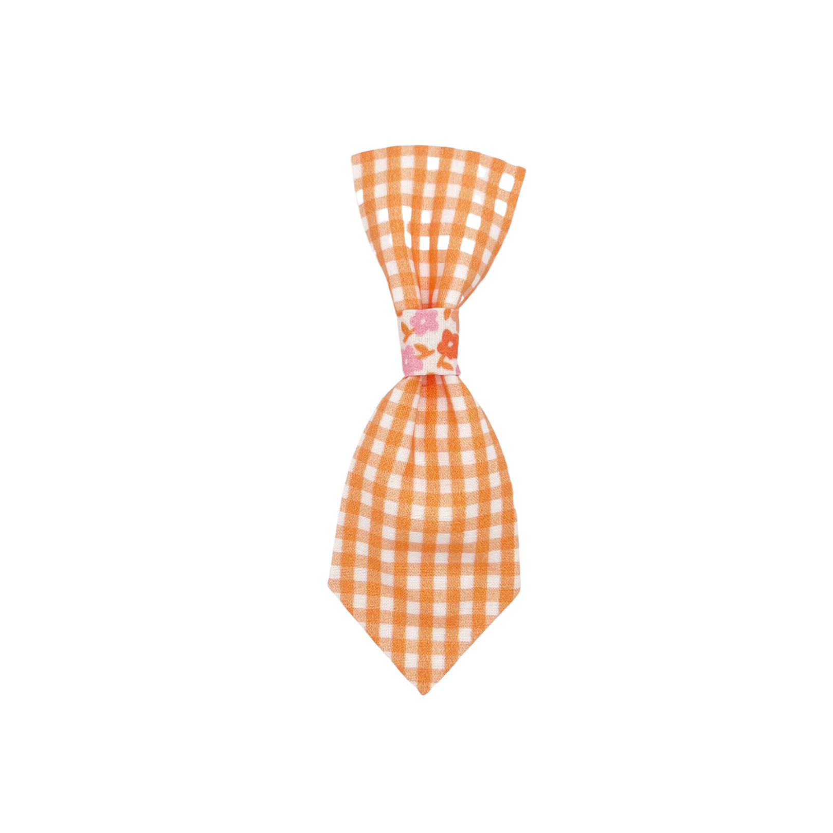 Orange Picnic Pet Tie