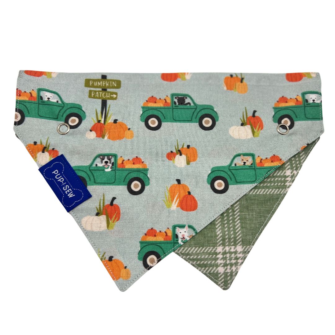 “Pumpkin Patch” Green Plaid Dog Collar Bandana, Reversible and Two-Tone