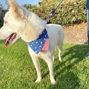 Popsicle Dog Collar Bandana, Reversible and Two-Tone