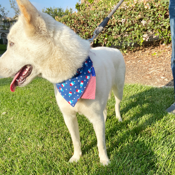 Popsicle Dog Collar Bandana, Reversible and Two-Tone