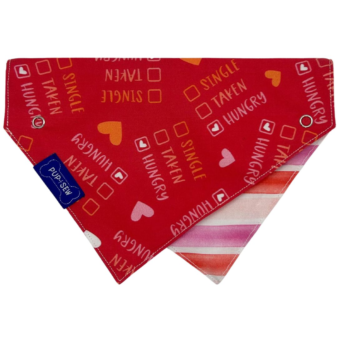 "Hungry for Love" Dog Collar Bandana, Reversible and Two-Tone