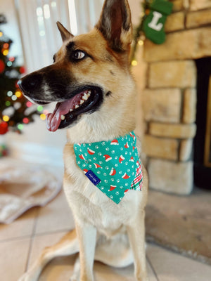 "Santa Paws" Dog Collar Bandana, Reversible and Two-Tone