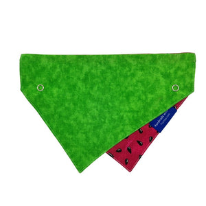 Watermelon Green Dog Collar Bandana, Reversible and Two-Tone