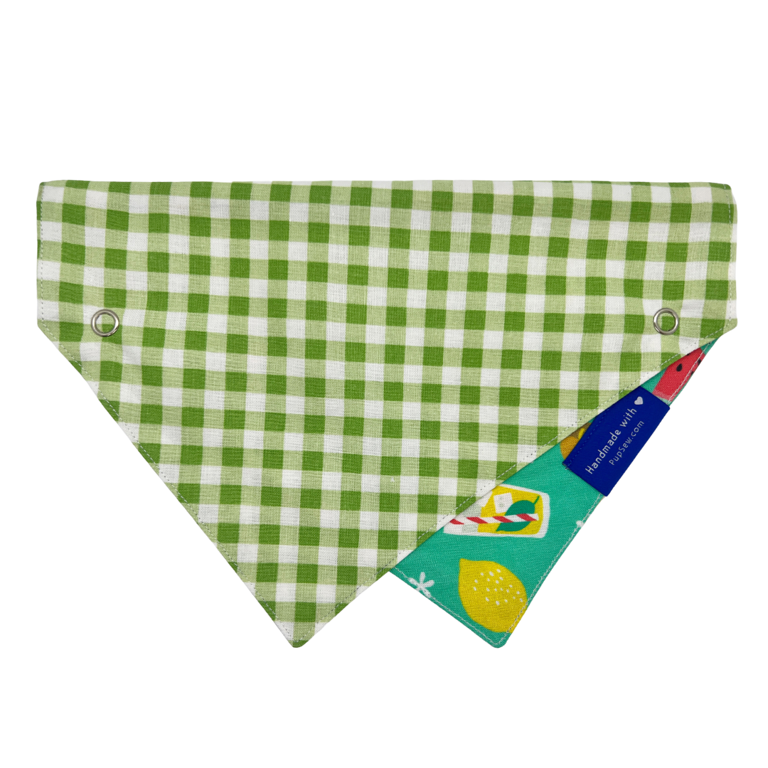 "Summer Picnic" Dog Collar Bandana, Reversible and Two-Tone
