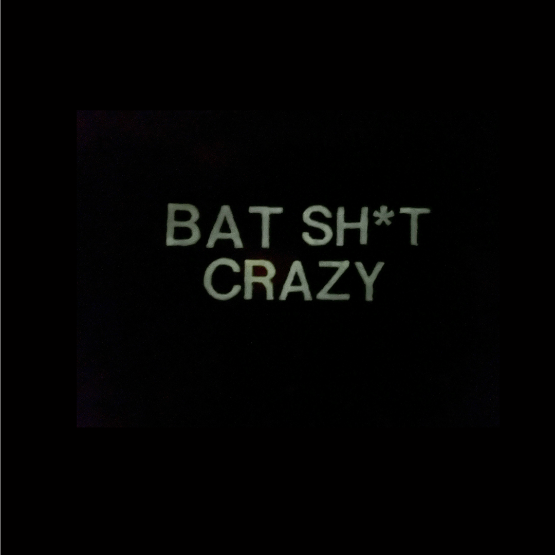 “Starry Night Bats” Dog Collar Bandana, Reversible and Two-Tone