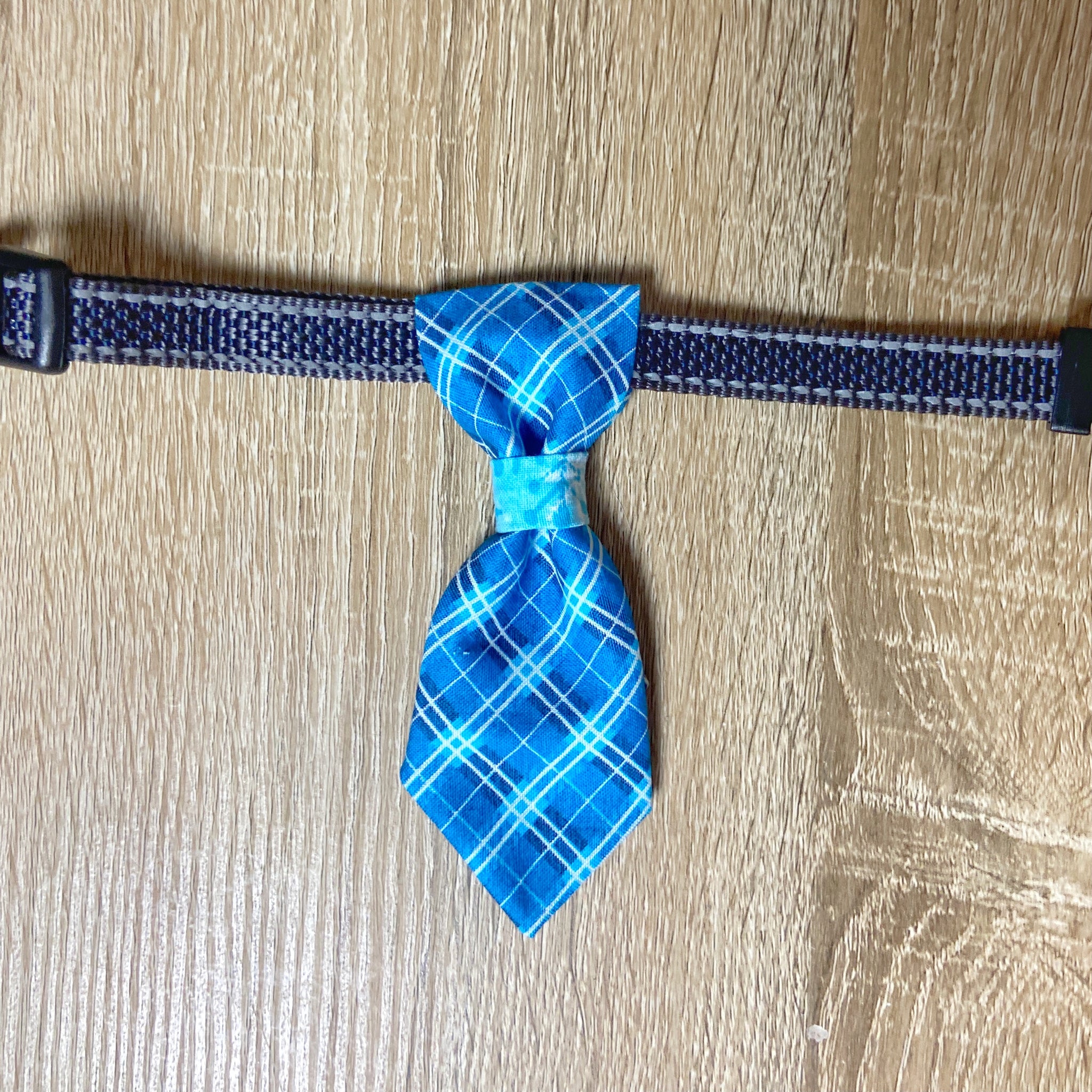 Blue Plaid Pet Tie, Slip-On