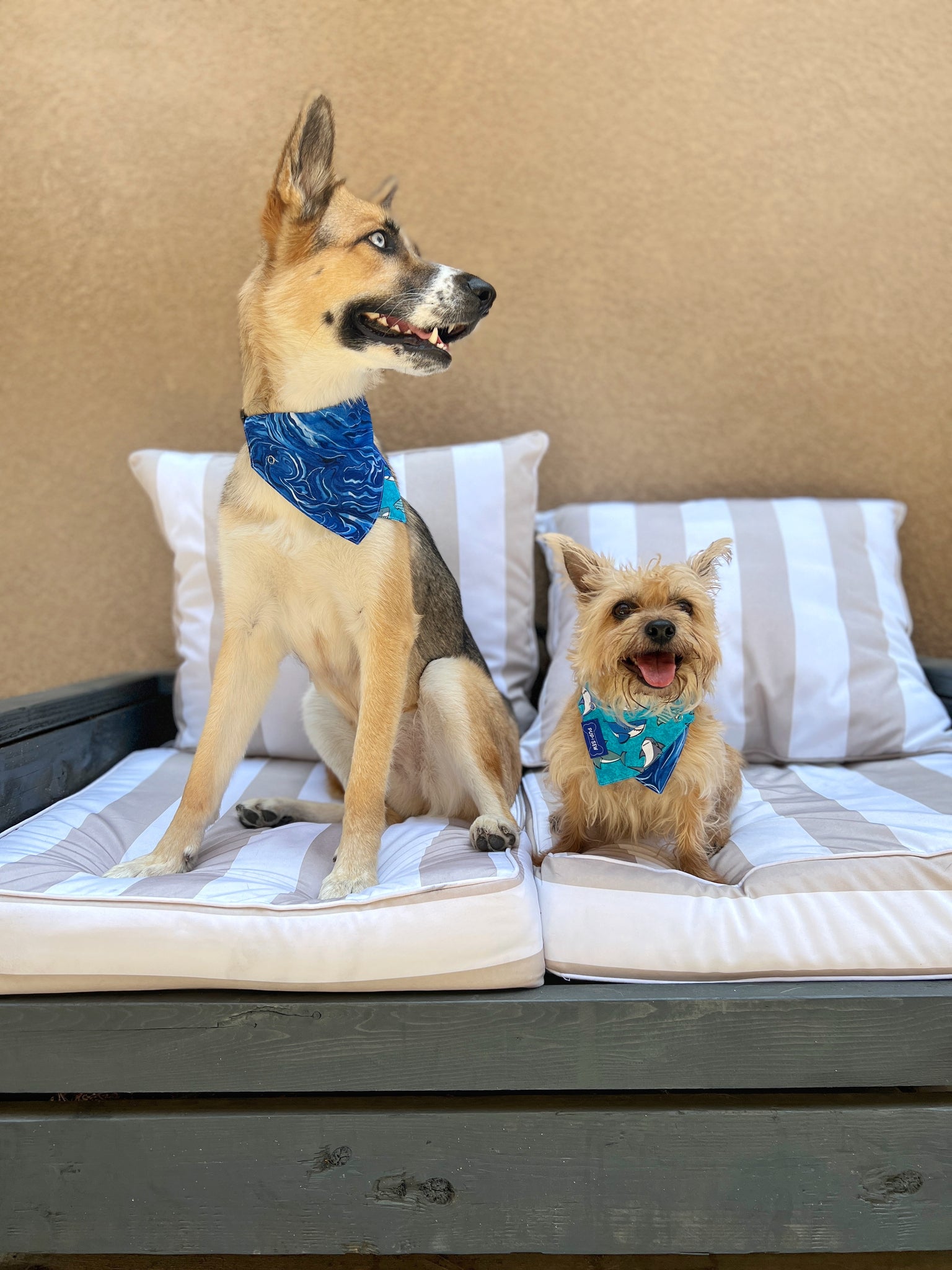 Shark in Blue Water Dog Collar Bandana, Reversible and Two-Tone