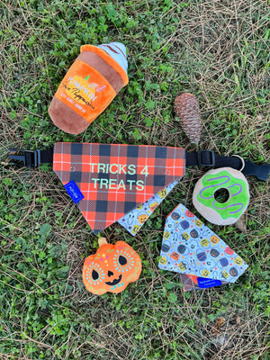 “Trick-or-Treat” Plaid Dog Collar Bandana, Reversible and Two-Tone