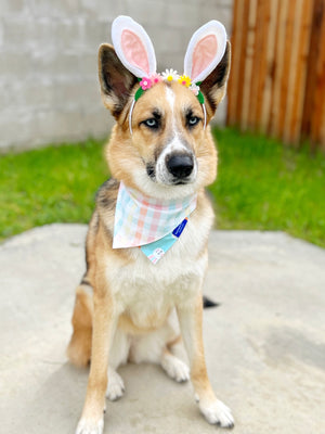 Easter Bunny Dog Collar Bandana, Reversible and Two-Tone