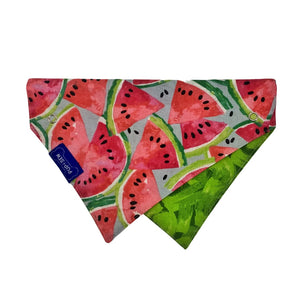 Watermelon Dog Collar Bandana, Reversible and Two-Tone