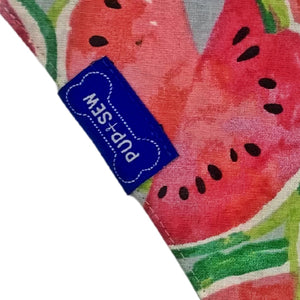 Watermelon Dog Collar Bandana, Reversible and Two-Tone
